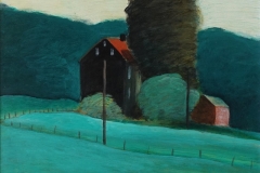 428           Landschap met zwart huis   -  Hilmar Schäfer - zp