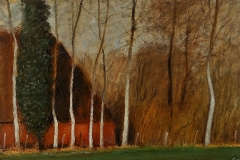 3028         Boerderij achter de bomen    -   Hilmar Schäfer - zp