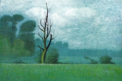 1040       Dode boom in Landschap   -   Hilmar Schäfer - zp