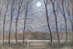 1044        Maanlicht met witte wolk   -   Hilmar Schäfer - zp