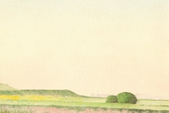 1098        Landschap   -   Hilmar Schäfer - zp