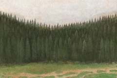 2009       Dennenbos   -   Hilmar Schäfer - zp