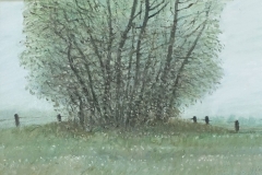 2076         Bomen voor het hek   -   Hilmar Schäfer -  zp