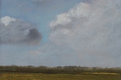 3005         Landschap Friese Wouden (Friesland)   -   Hilmar Schäfer - zp