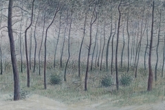 3045        In het bos bij Noverosa   -  HIlmar Schäfer - zp