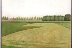 Landschap met gemaaid grasveld  -  Hilmar Schäfer - mhl