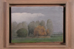 Wilgenbomen  -  Hilmar Schäfer - mhl
