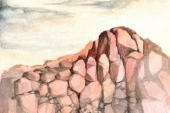 1014       Rots   -   Hilmar Schäfer -  zp