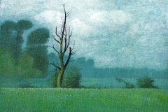 1040       Dode boom in Landschap   -   Hilmar Schäfer - zp
