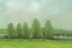 1041       Landschap   -   Hilmar Schäfer - zp