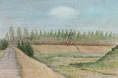 1043      Landschap met witte wolk    -   Hilmar Schäfer - zp