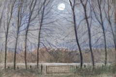 1044        Maanlicht met witte wolk   -   Hilmar Schäfer - zp