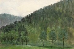 1045        Bos    -    Hilmar Schäfer - zp