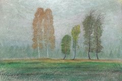 1051        Bomen   -    Hilmar Schäfer - zp