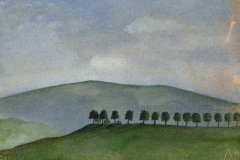 1052        Bomen   -    Hilmar Schäfer - zp