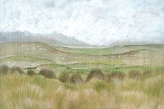 1099        Landschap   -   Hilmar Schäfer - zp