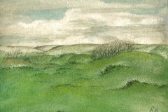 2003        Landschap    -   Hilmar Schäfer - zp