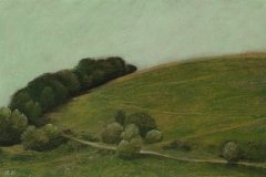 2016       Landschap    -   Hilmar Schäfer - zp