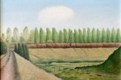 2033        Landschap met witte wolk   -    Hilmar Schäfer - zhl