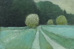 2045        Weg naar het bos   -   Hilmar Schäfer - zp
