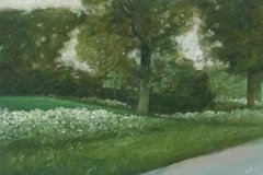 2050       Berm met bomen   -   Hilmar Schäfer - zp
