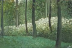 2075        Fluitekruid in het bos   -   Hilmar Schäfer - zp