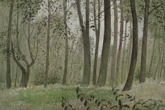 3004          In het bos  -  Hilmar Schäfer - zp