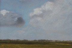 3005         Landschap Friese Wouden (Friesland)   -   Hilmar Schäfer - zp