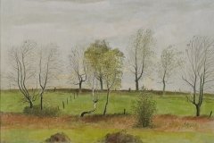 3012        Natuurstudie    -   Hilmar Schäfer - zp
