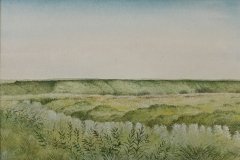 3026       Landschap   -   Hilmar Schäfer - zp