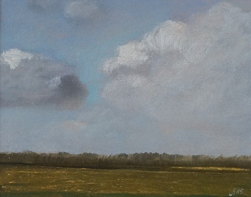 3005         Landschap Friese Wouden (Friesland)   -   Hilmar Schäfer - zp