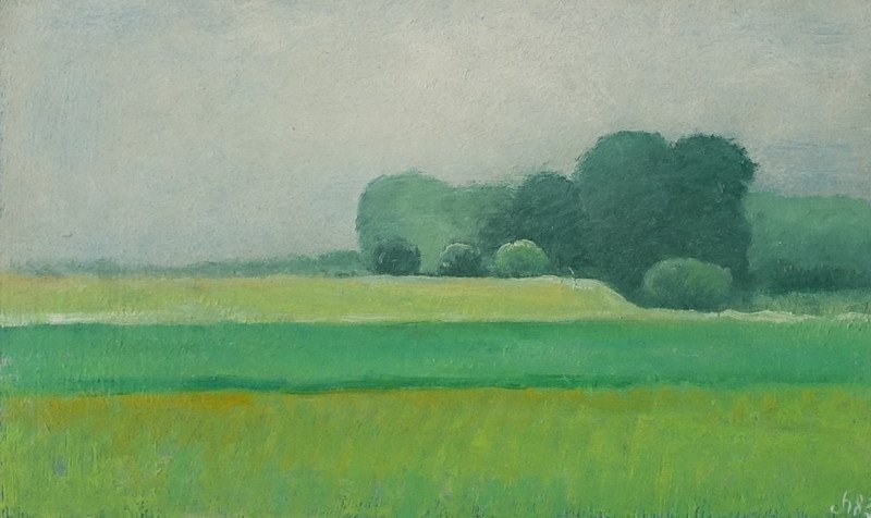 47      Landschap   -   Hilmar Schäfer - zhl