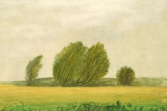 Spielerei 42  Landschap   -   Hilmar Schäfer - zp