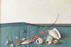 2087          Stilleven met schelpen    -    Hilmar Schäfer - zhl