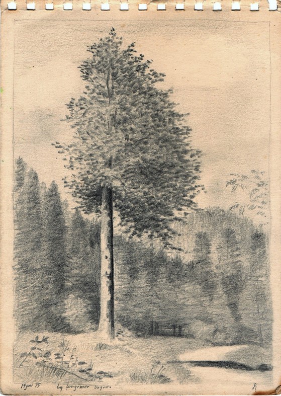 Schets van een boom vol blaadjes, gedetailleerd getekend door Hilmar Schäfer