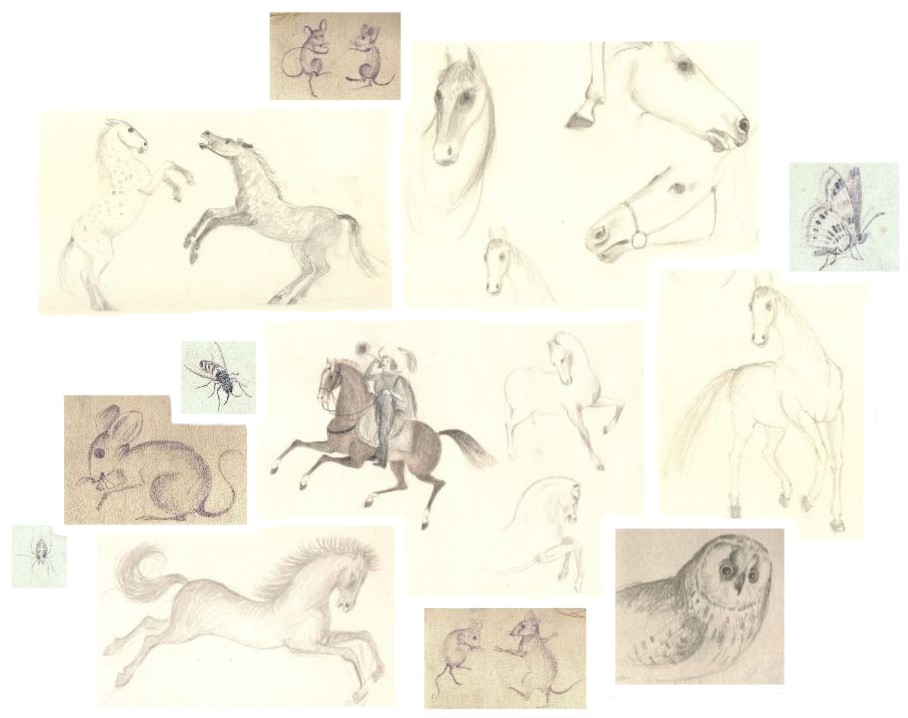 Allerlei schetsjes van Hilmar Schäfer van dieren.